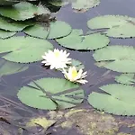 Lake Apartment Apartamento *