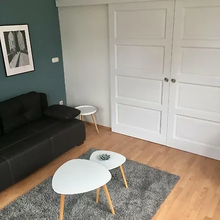 公寓 Lake Apartment *