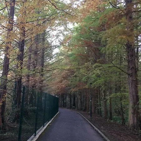 Lake Apartment 公寓 *