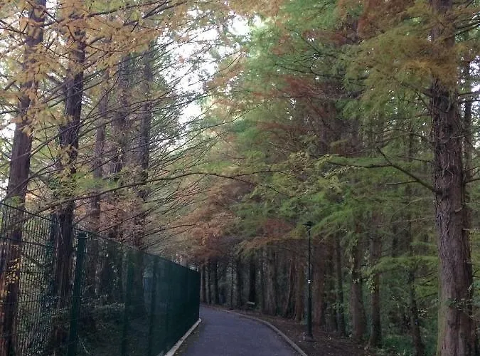 Lake Apartment アパート *