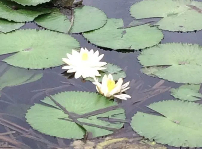 Lake Apartment Lägenhet *